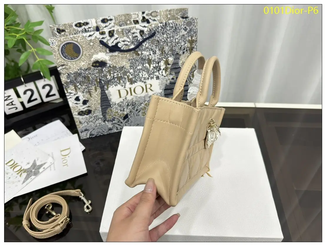 0101Dior P6
