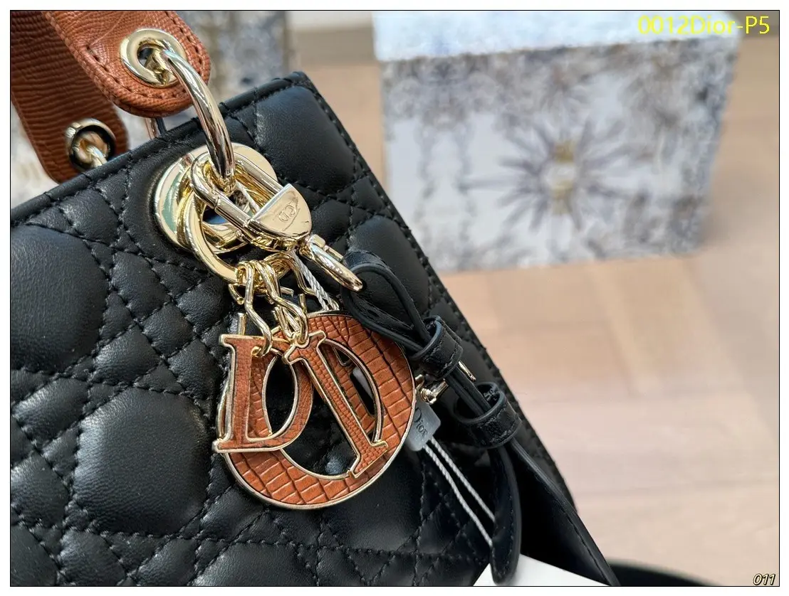 0012Dior P5
