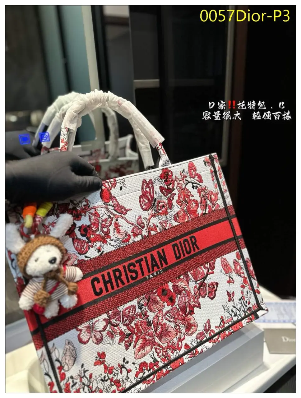 0057Dior P3
