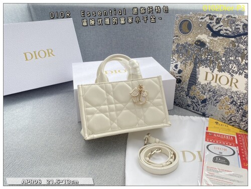 0102Dior P3