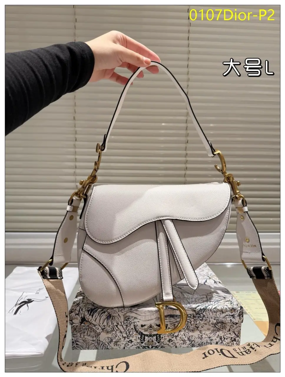 0107Dior P2