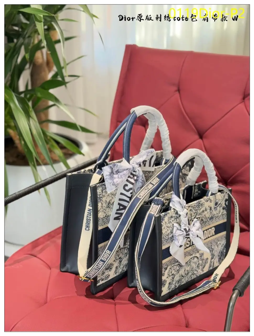 0119Dior P2