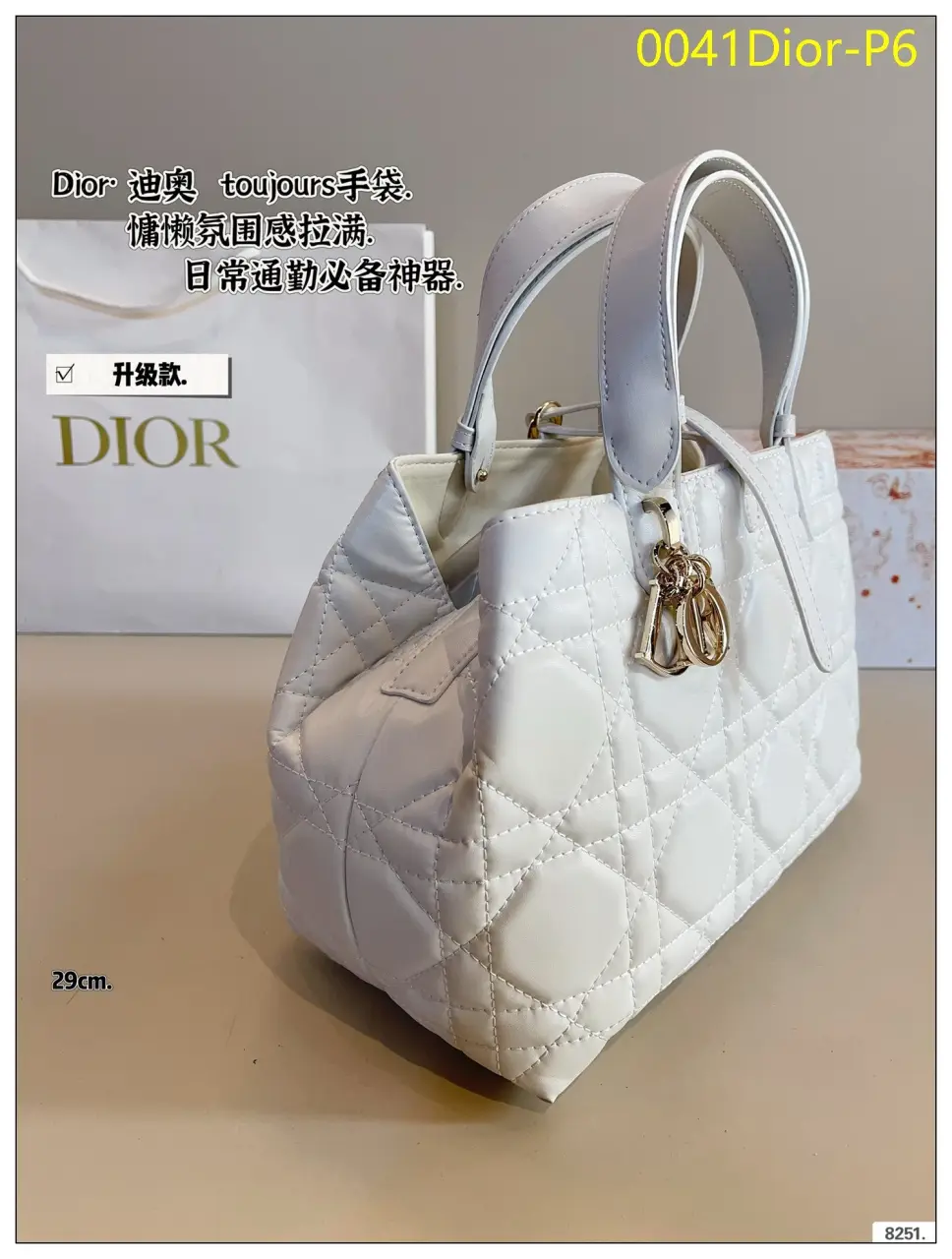 0041Dior P6