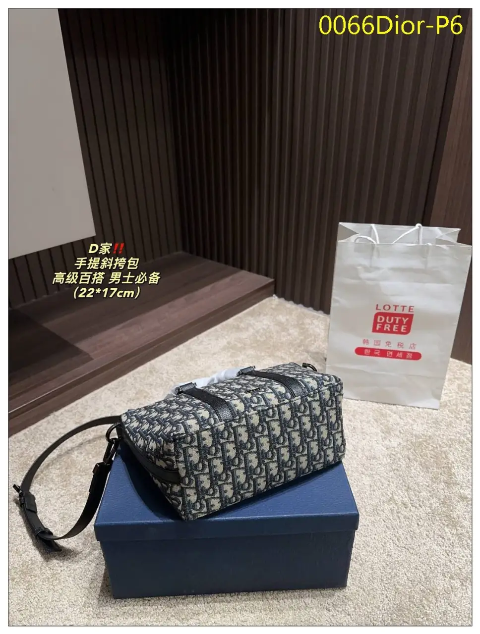 0066Dior P6