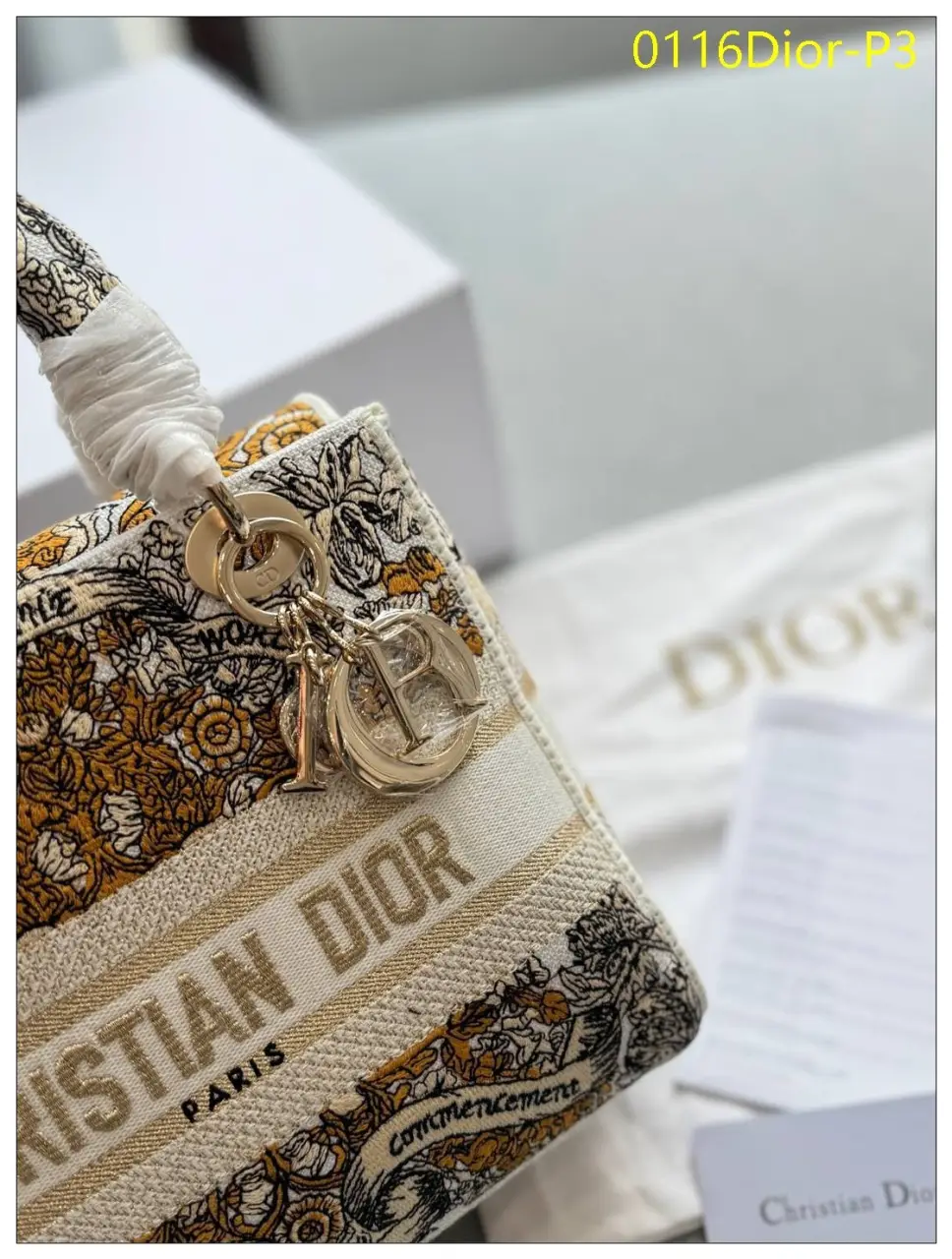 0116Dior P3