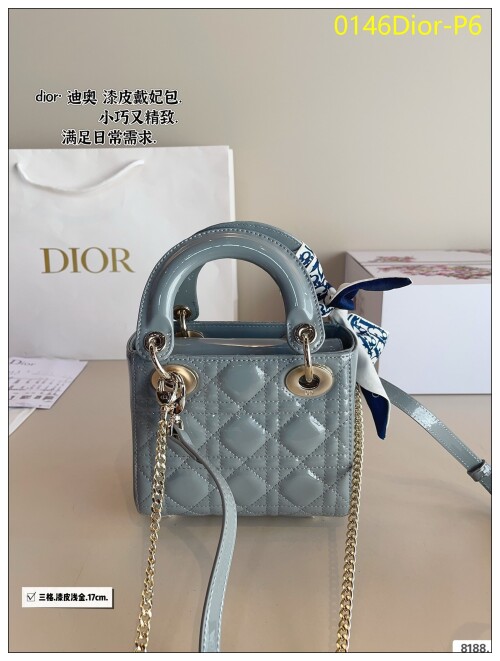 0146Dior P6