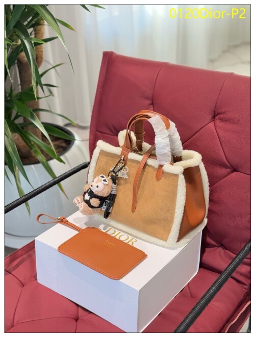0120Dior P2