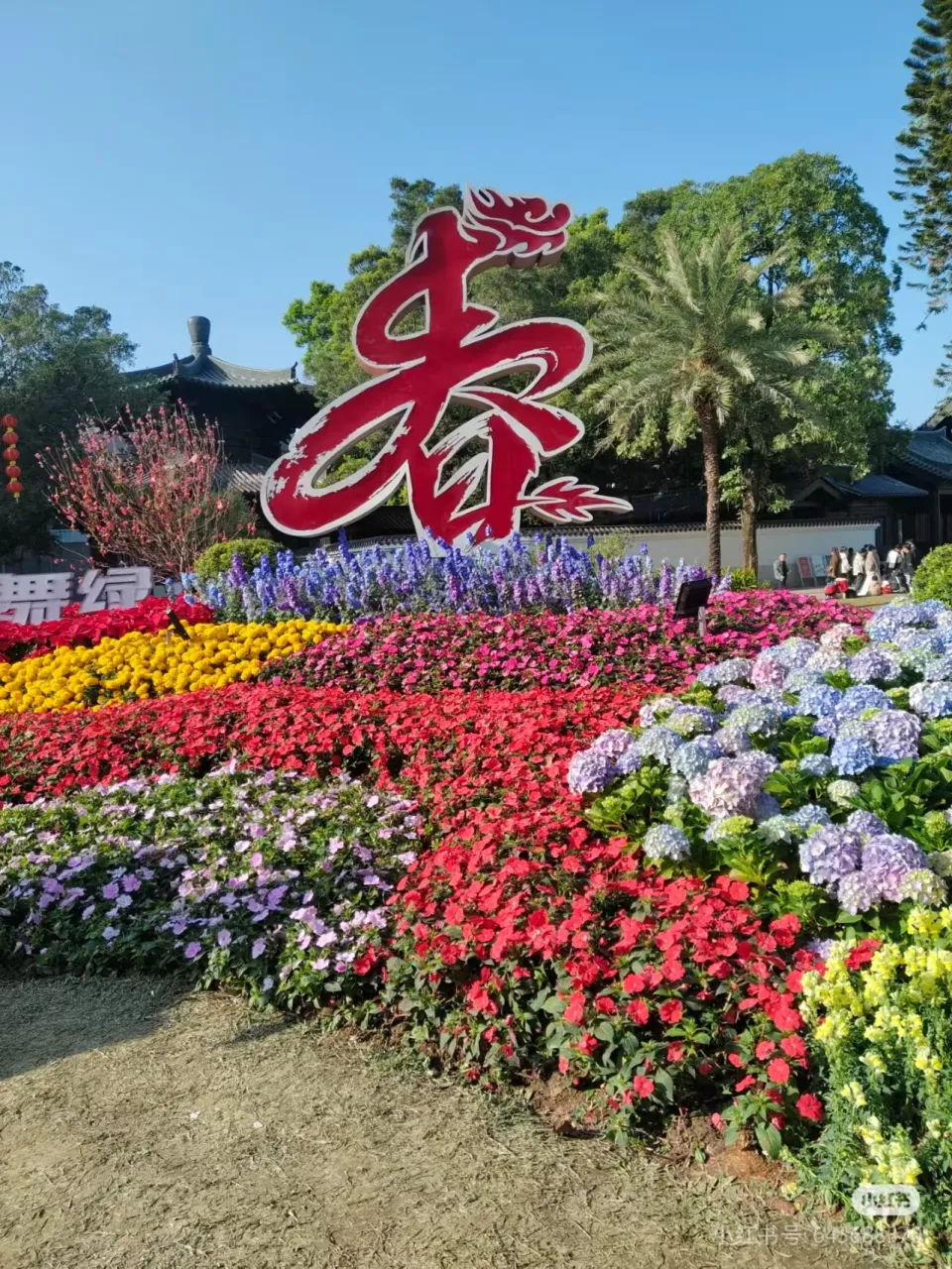 28花坪舞绿