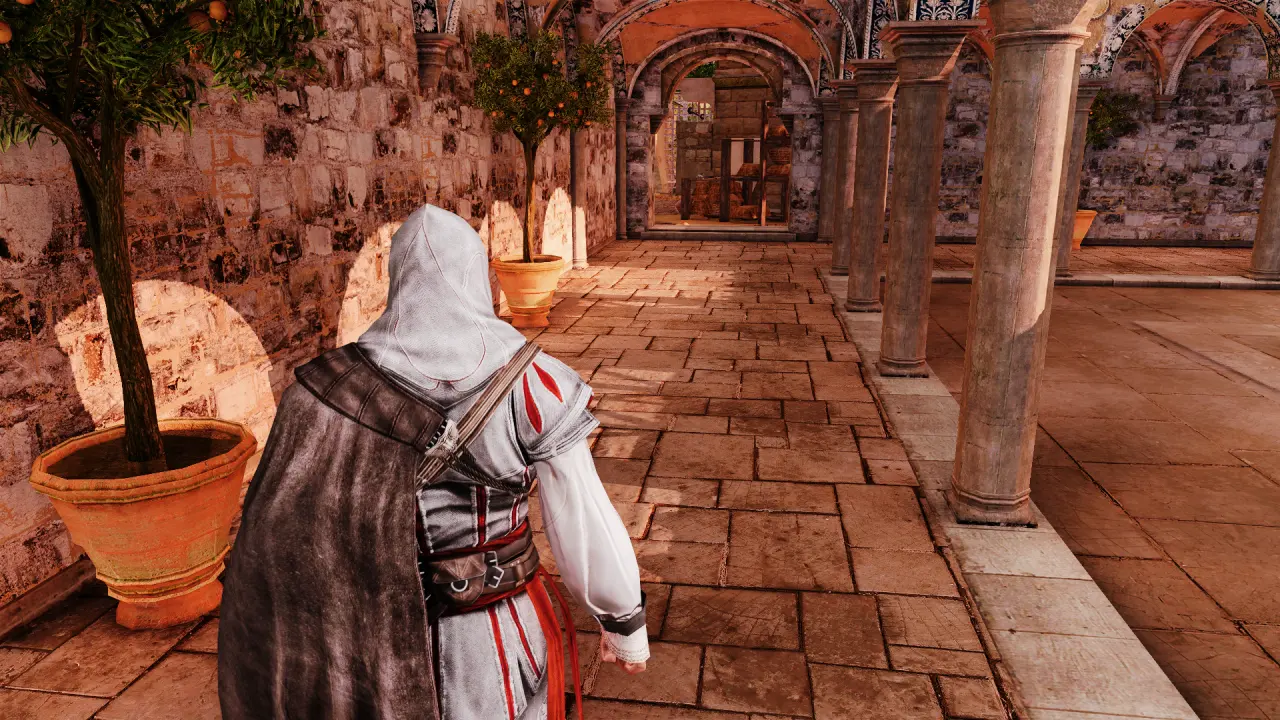 AssassinsCreedIIGame 2024 11 09 15 45 37