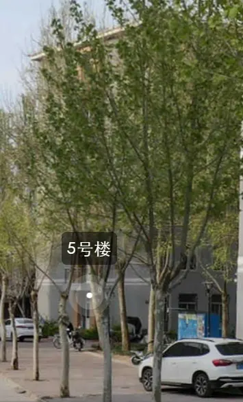 5号楼