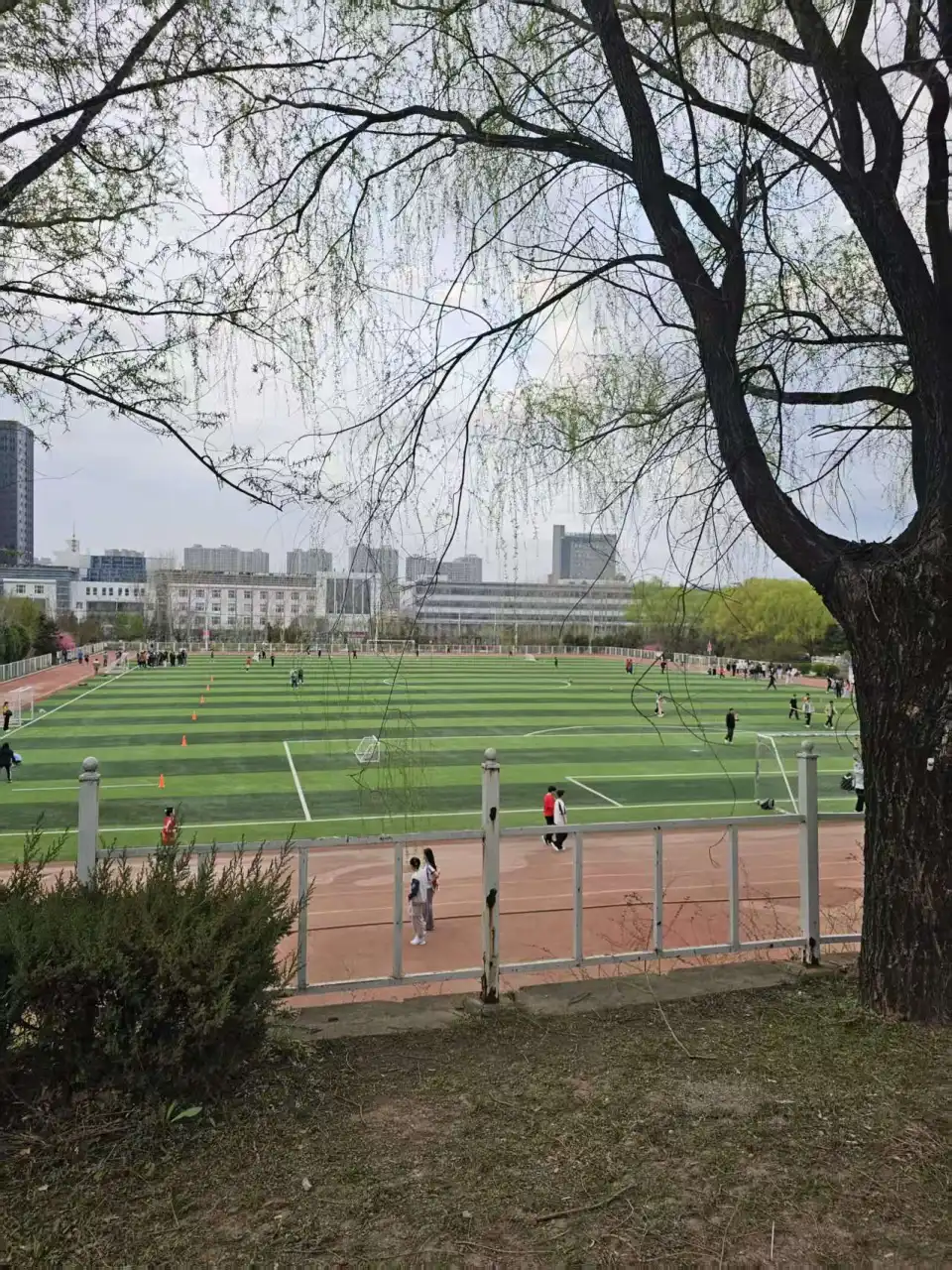 微信图片 20250422005221