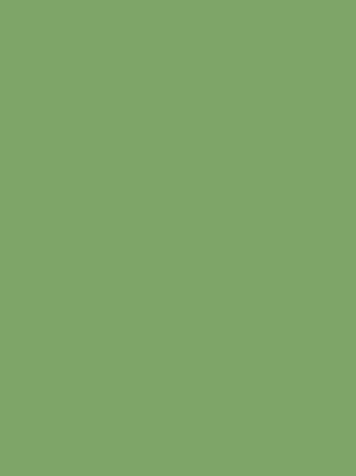 c4429a20556a9011deb759c612559174.png