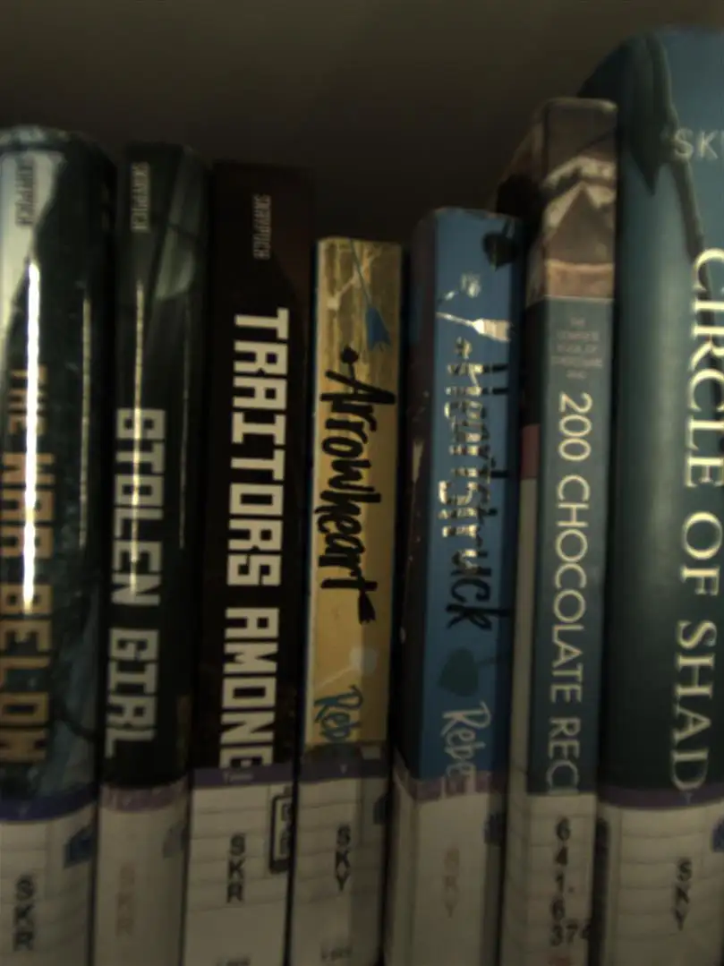 image 0041