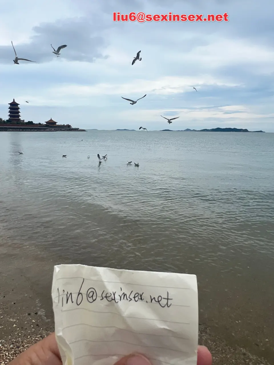 验3