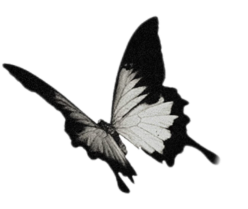 58d25566009114cbc6661d3618539e45.png
