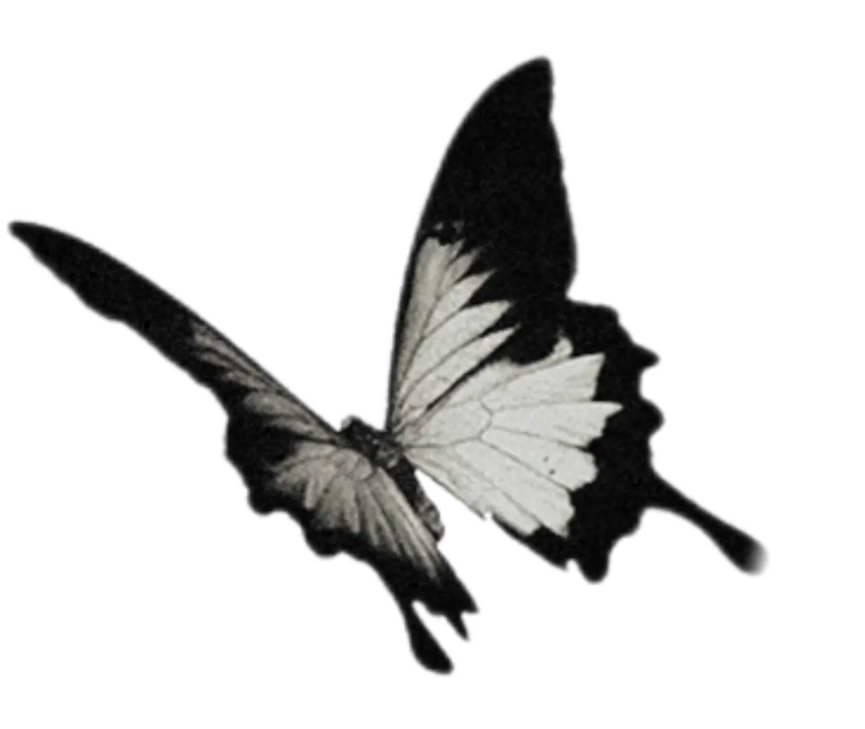 IMG 20251019 031917