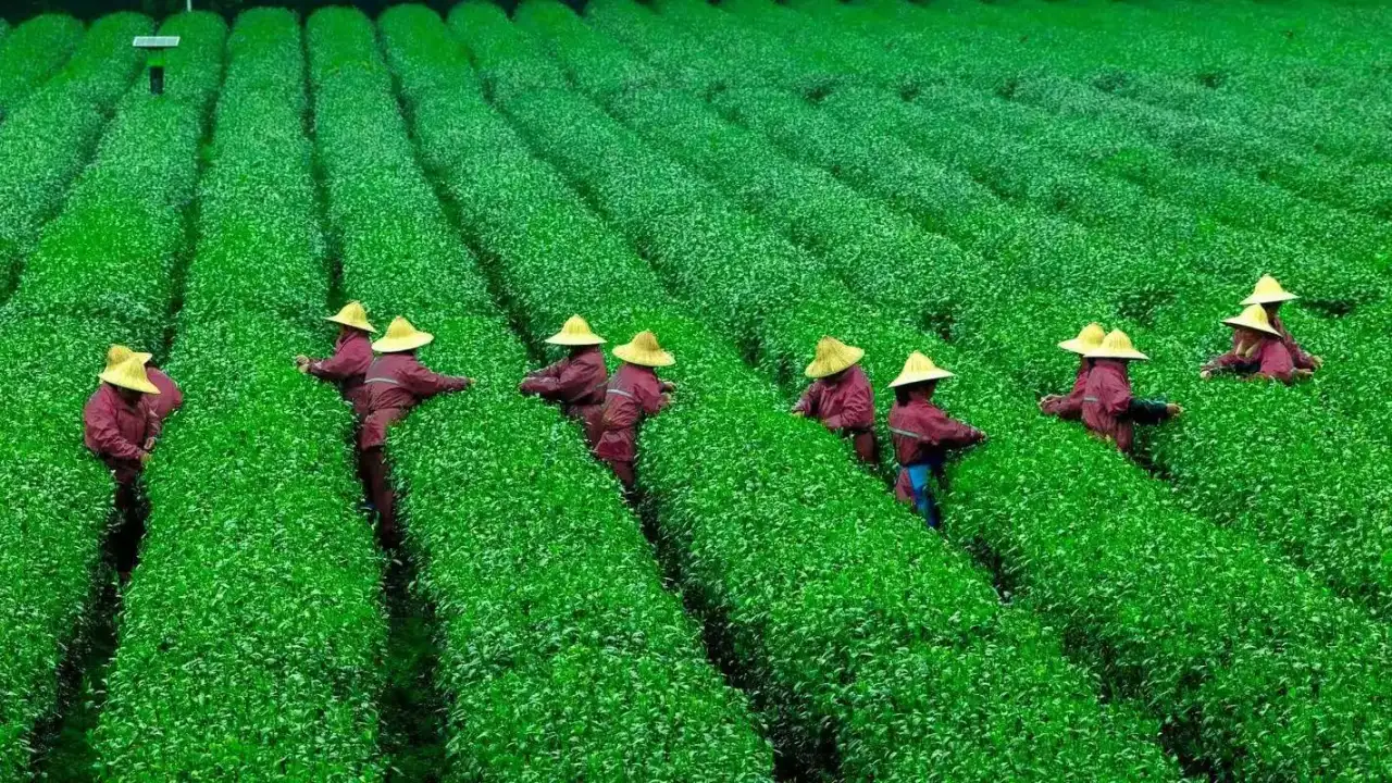 微信图片 20251020000728