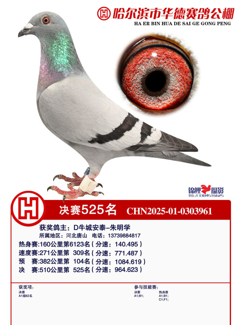 0c641c53a6804c92c01bb1b4f271e33e.jpg