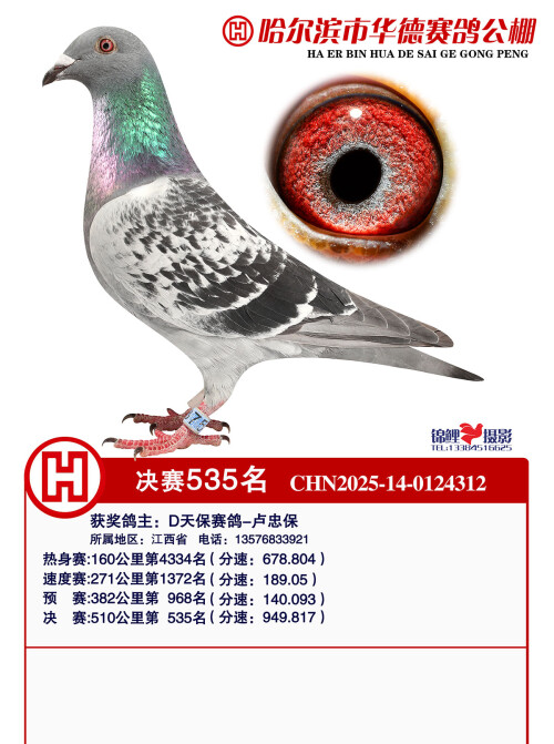 1907c6477215f5ad01ad91a8b2056a8b.jpg