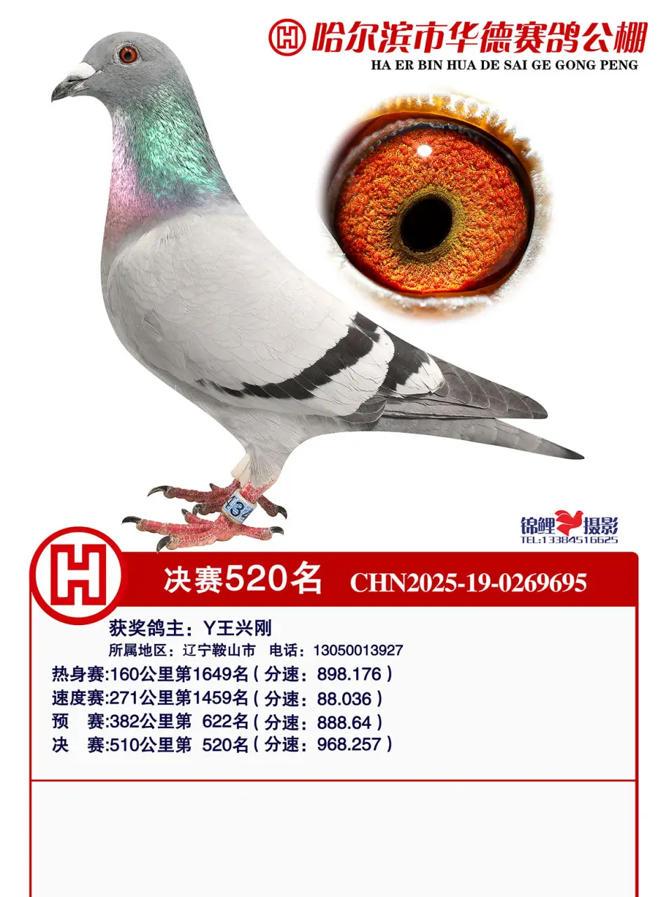 520