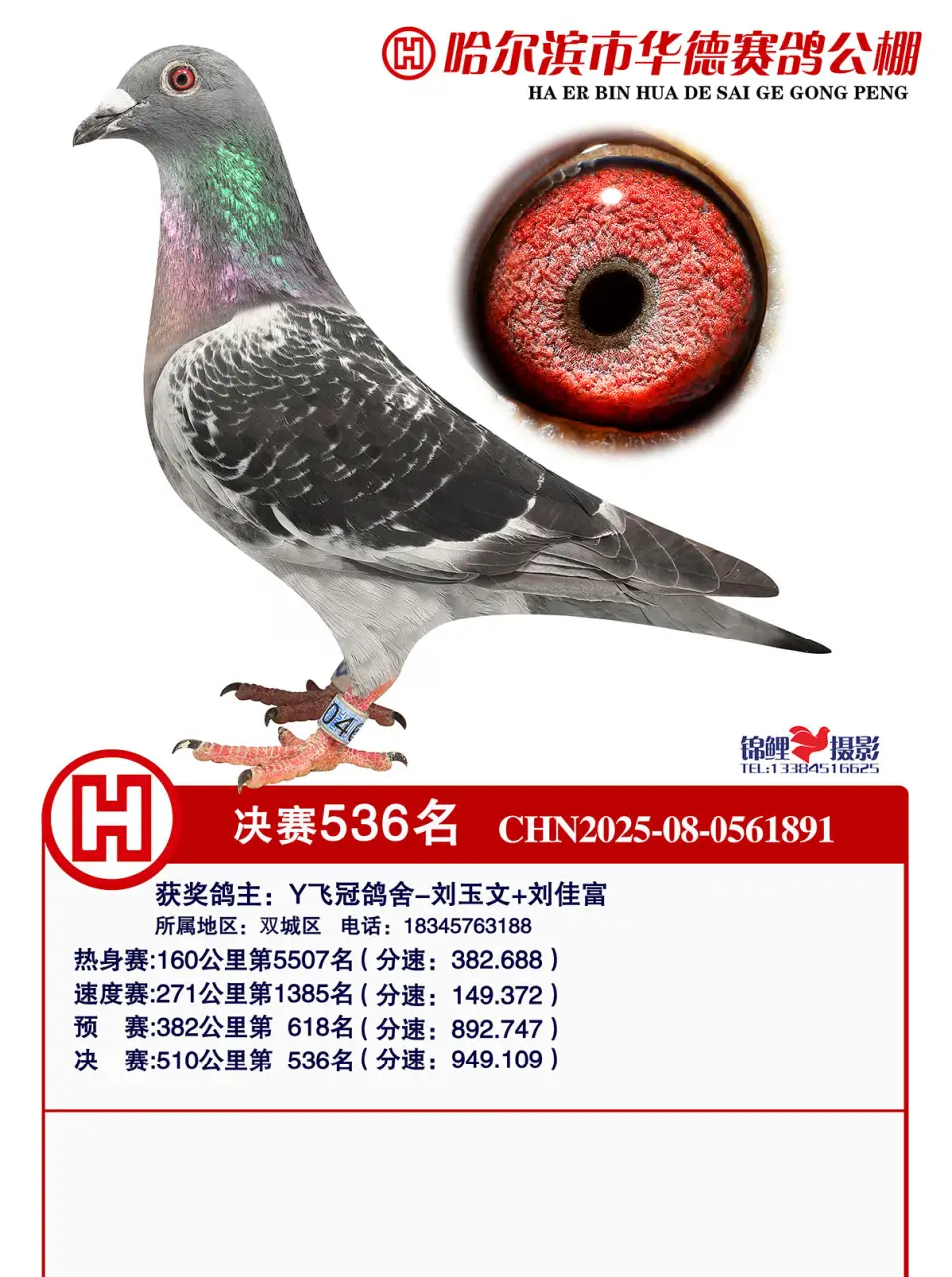 536