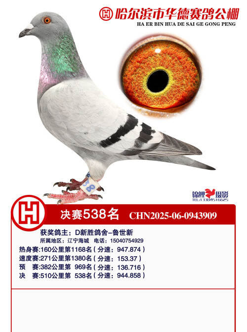 4496cba179c5bf98063cacc79d37d885.jpg
