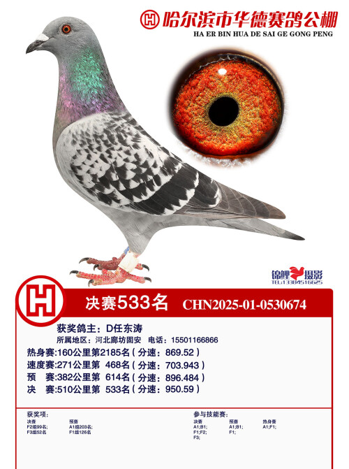 555fee0e8271f579c6bd998a9cc86b25.jpg