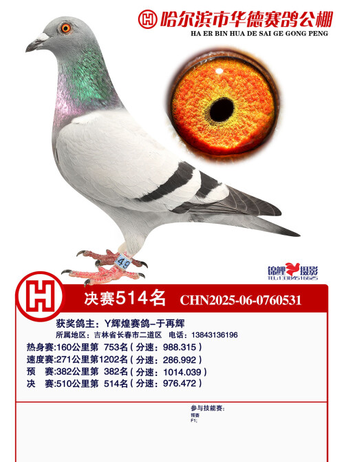 598386b56eef86cbf4302e26dd0fa165.jpg