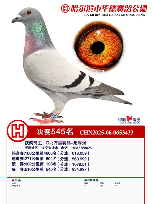 8cb3ada1514a975648e0f854ee11573a.jpg