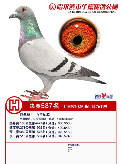 537