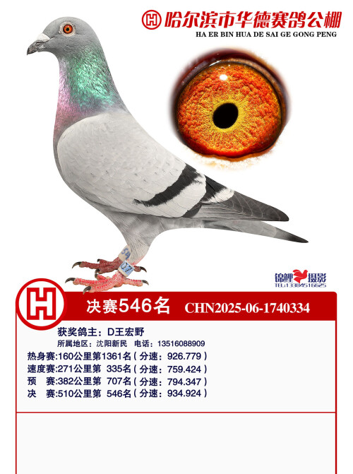 a73d8208f596b2abbc15e0a5c2024e3a.jpg
