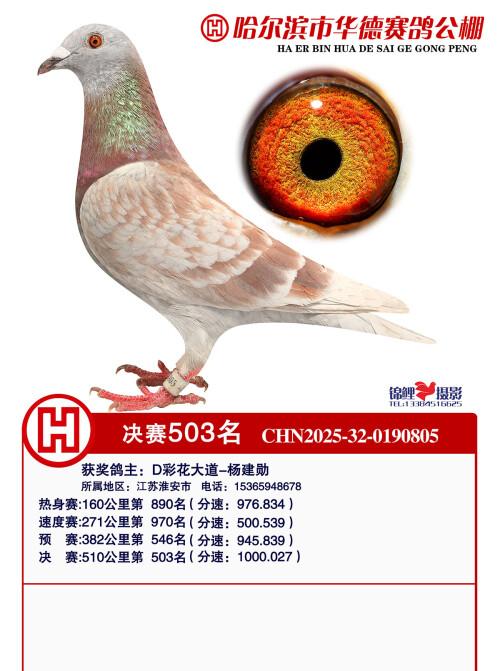 aa5baaec6a45d376c91ad2a70637ae80.jpg