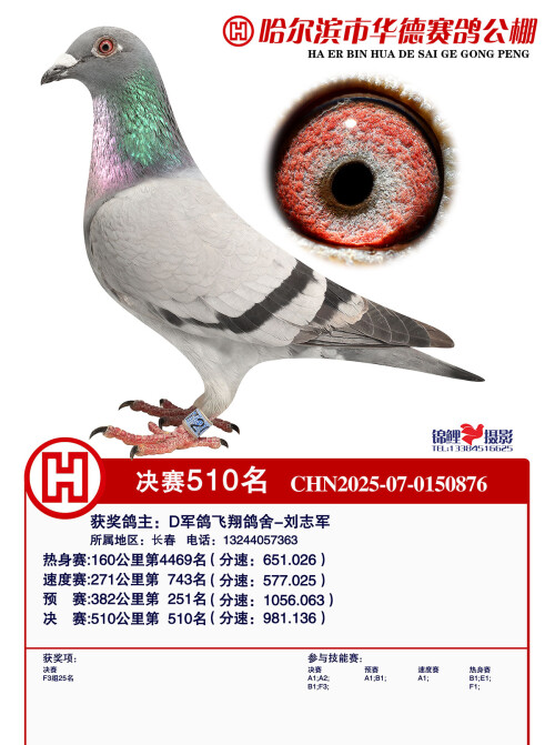 b2dba03e6af556663a684e2f7c2da22d.jpg