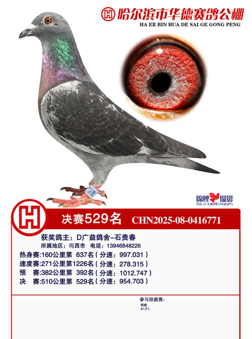 cad700d0315ce3ab441d0607417490a8.jpg