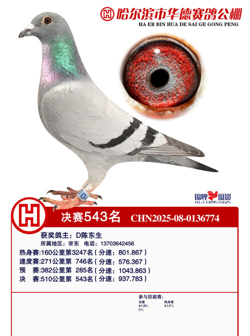 cf36e433a6d7daa6b741bb348ed6e846.jpg