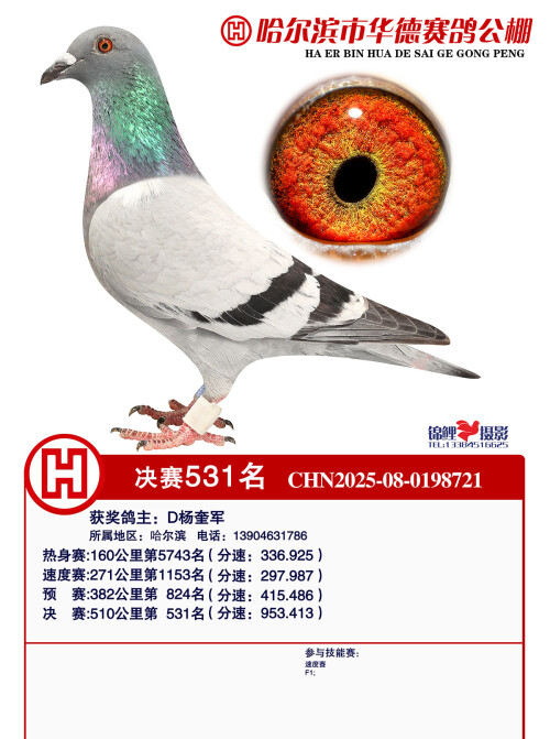 531