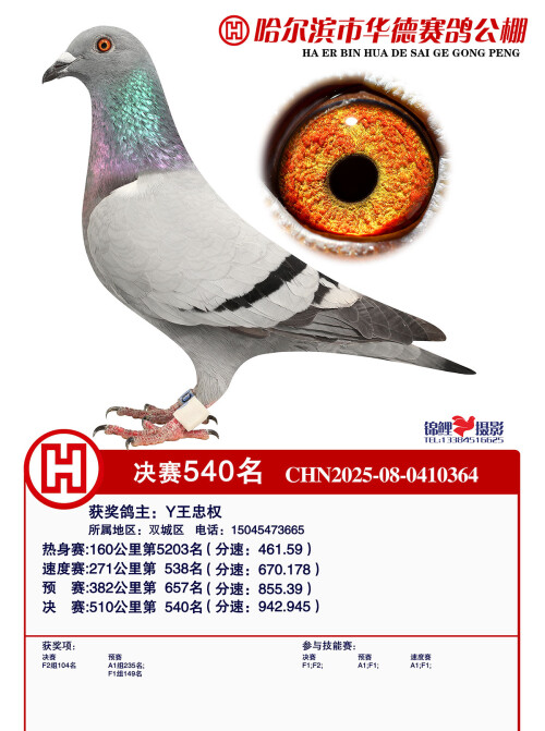 d78f7ec9c7602f76ce0fc488e71034c8.jpg