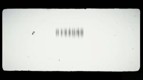 49d6dfea2a9d0d4f16493812f2b881b4.mp4