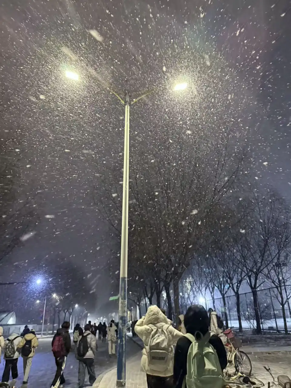 路灯