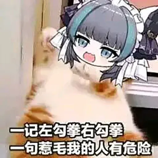 cheshire7