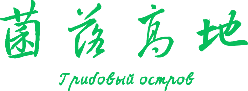 3720adf56ade339fe1183ae4b3f03fdc.png