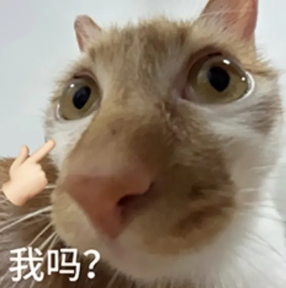 我吗