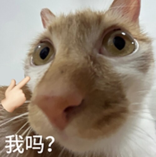 061e741c17e8b8fb65bf964538ce1e7e.jpg