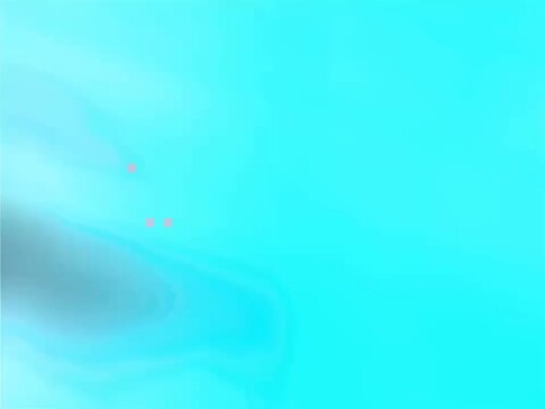 359c2ee2c2163ea0c72911e450a8bce5