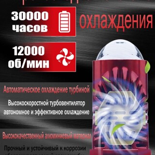 21689d654150467ae5c274a85149cc16