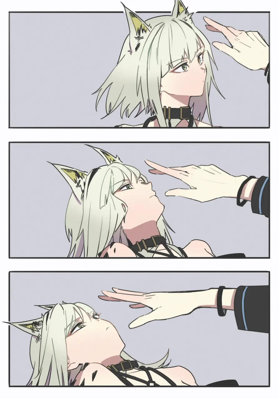 141626143 p0