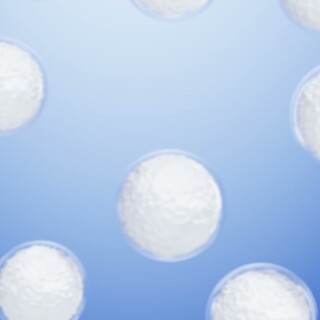 9a98d081e7f6e4aabaf023acd69aed49