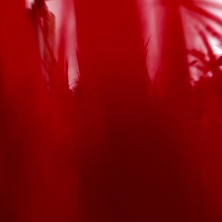 bcf55ba35c70ae601eff8e2ee24ab365