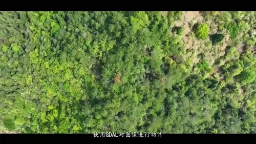 14e240d473e72af3eecb745924f04e41.mp4