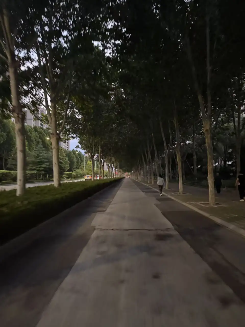微信图片 20260717023400 83 1